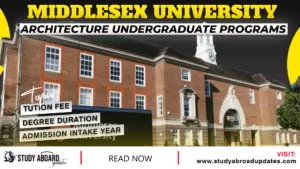 Architecture Undergraduate Programs
