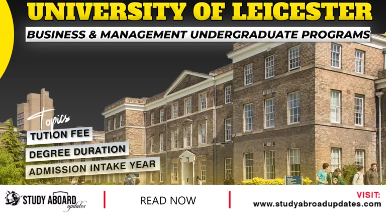 Business & Management undergraduate Programs